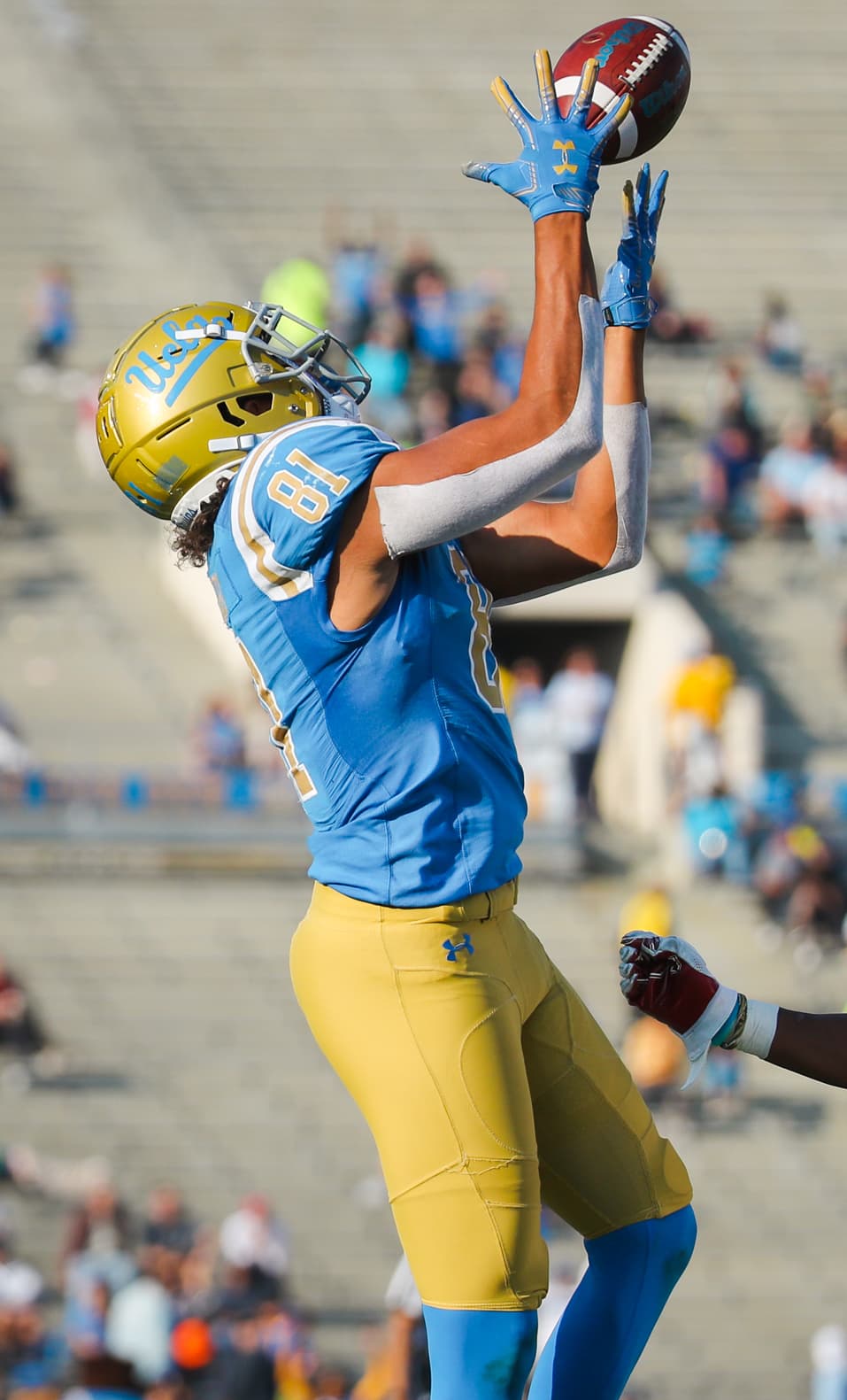 Caleb Wilson Drafted Fourth Overall by Bulls After Record-Breaking Card Sales