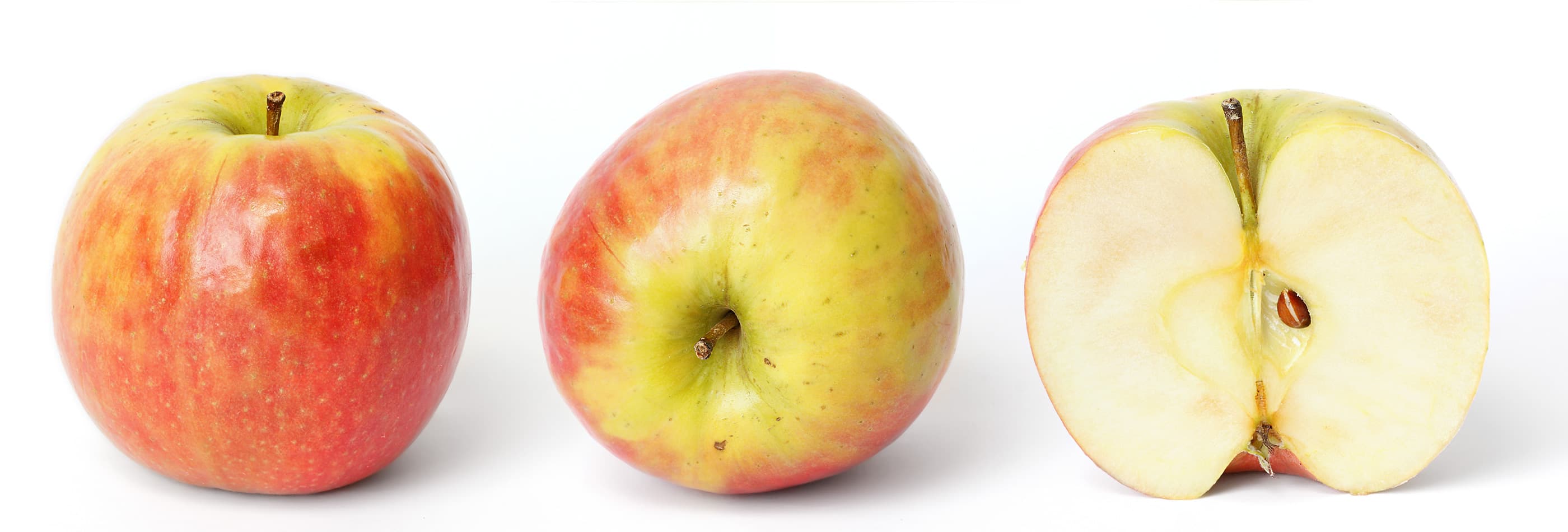 Apple's Siri Gets Massive Revamp, Privacy Features Front and Center