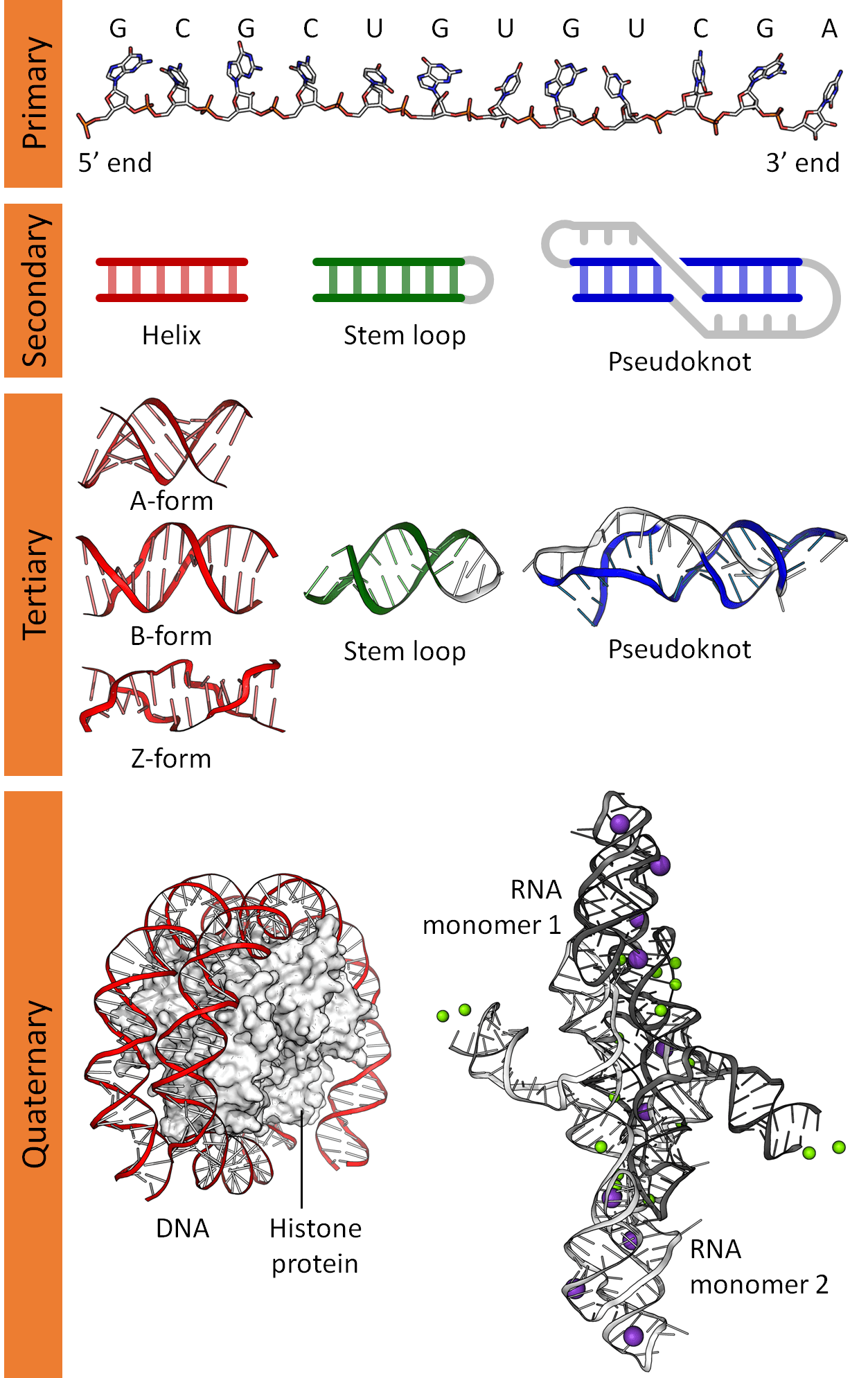 Nucleic acid structure