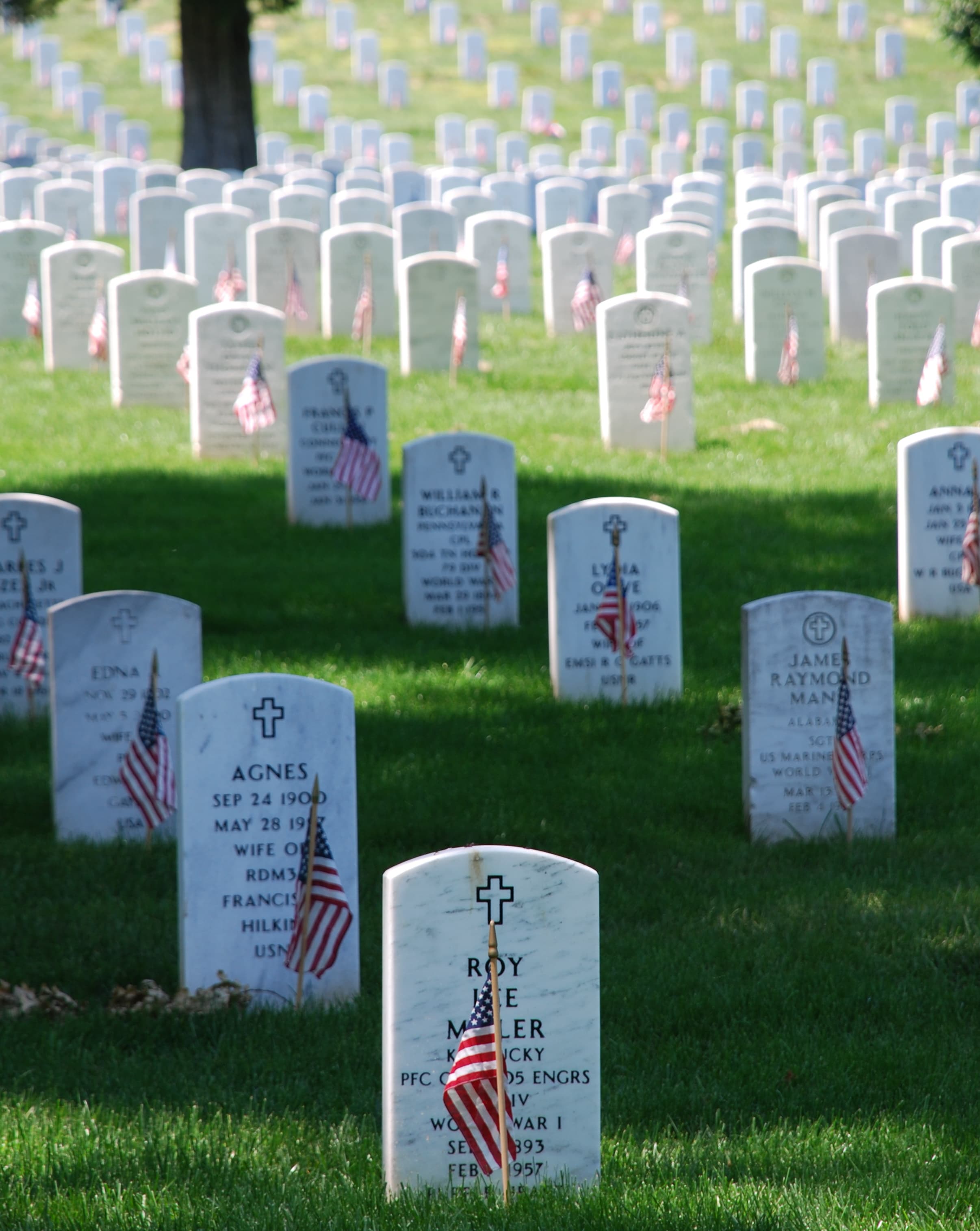 Memorial Day 2026: What's Open, What's Closed